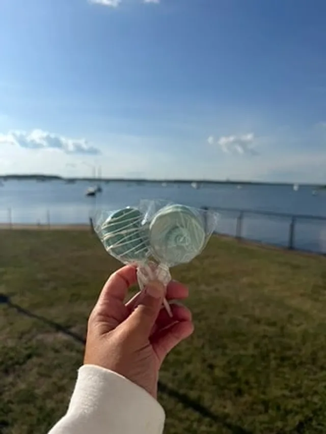 Ocean Cake Pops, detail 5